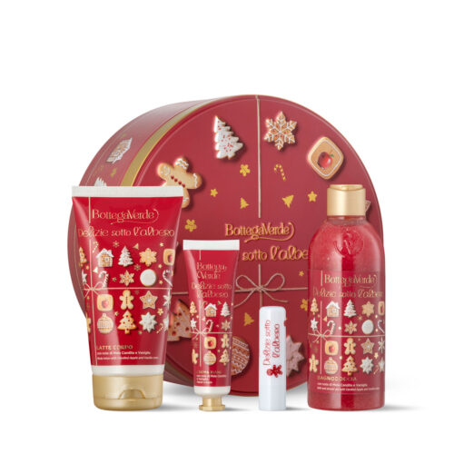 DARILNI PAKET - DELIZIE SOTTO L'ALBERO BISCUIT BOX
