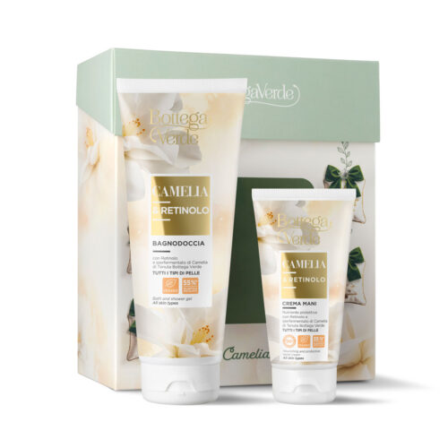 DARILNI PAKET - CAMELIA IN RETINOL PAPER BOX